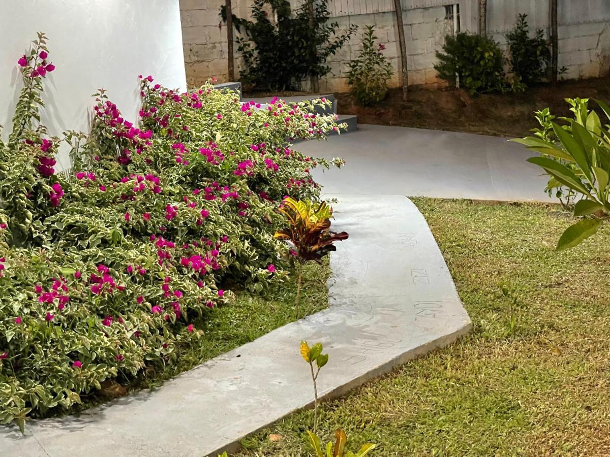 Aydiz Apartments 楠迪 外观 照片